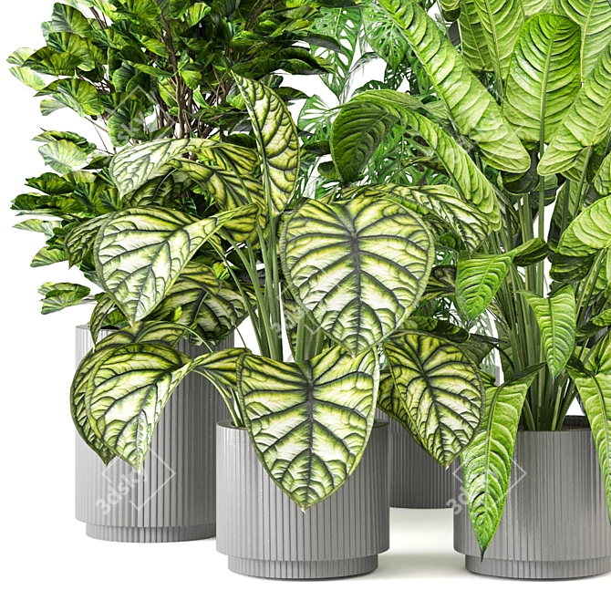 Green Oasis Collection - Set of 280 Indoor Plants 3D model image 2