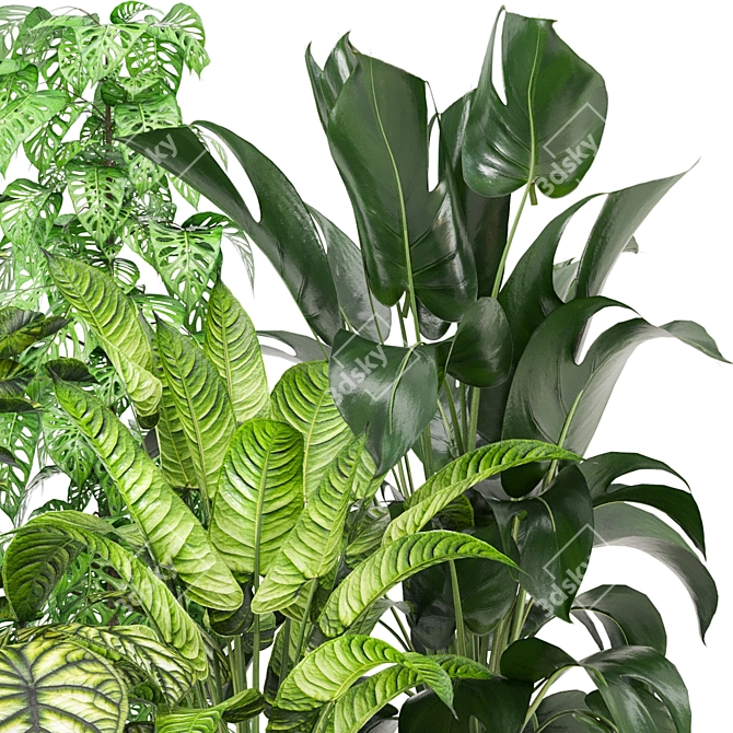 Green Oasis Collection - Set of 280 Indoor Plants 3D model image 4