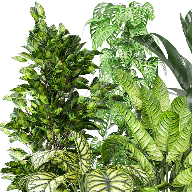 Green Oasis Collection - Set of 280 Indoor Plants 3D model image 5