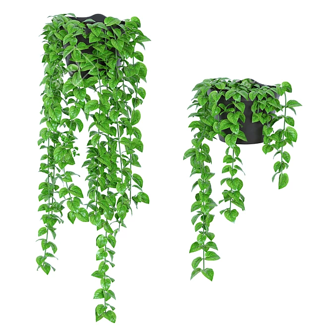 Tropical Paradise: Philodendron Plants 3D model image 1