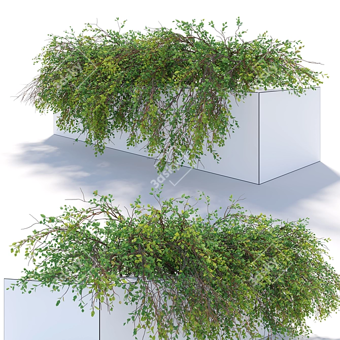 36 Hanging Plant: 2.4m Length 3D model image 1