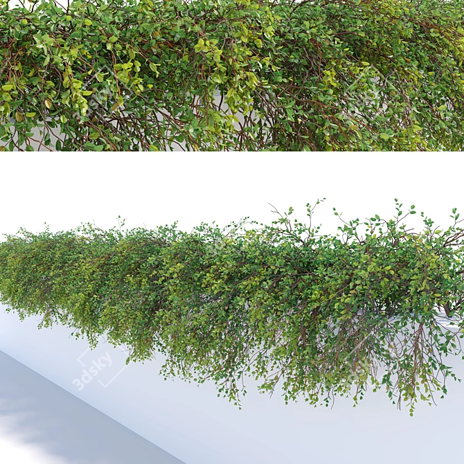 36 Hanging Plant: 2.4m Length 3D model image 2