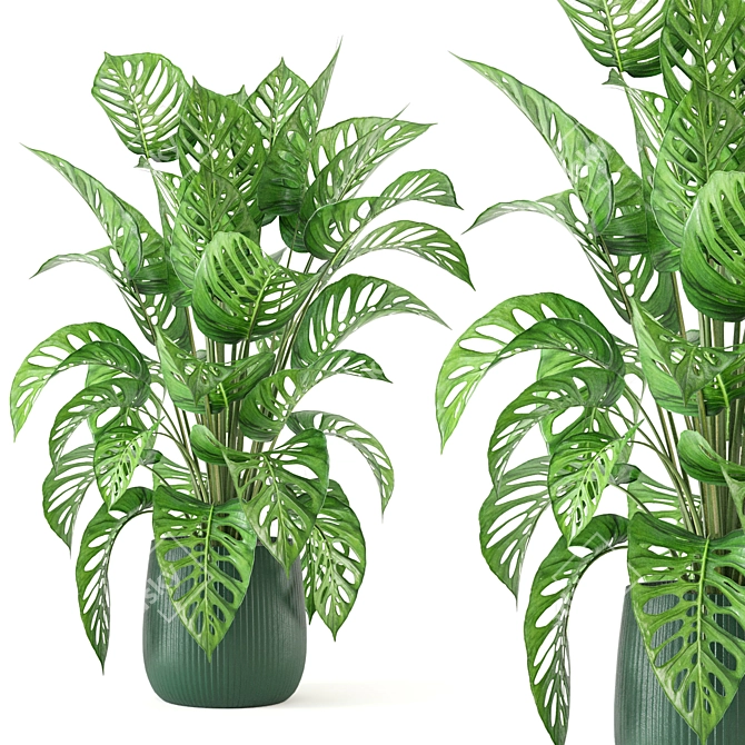 Indoor Oasis Collection: Set 282 3D model image 1