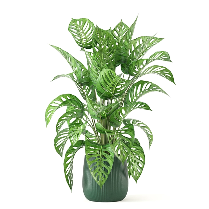 Indoor Oasis Collection: Set 282 3D model image 4