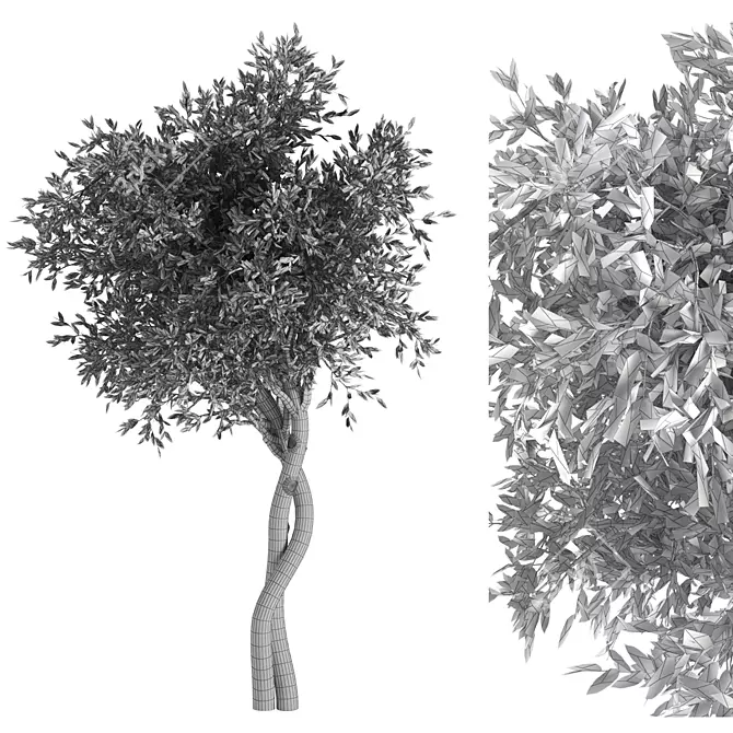 Nature's Symphony: Tree No 2 3D model image 2