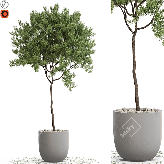 671 Plant Collection: Bring Nature Home 3D model image 1
