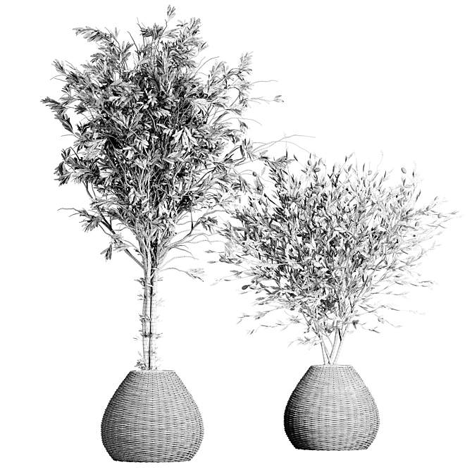 Indoor Plant Collection: 63 Varieties 3D model image 5