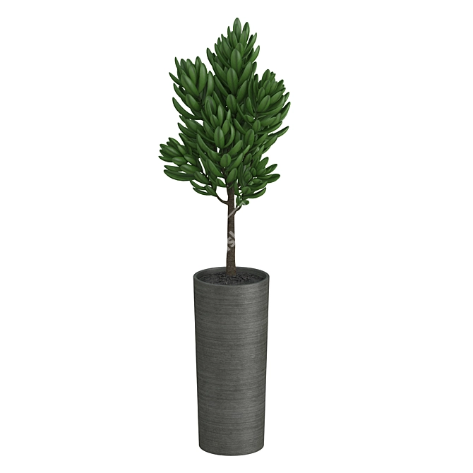 Dark Ceramic Pot Plant 3D model image 3