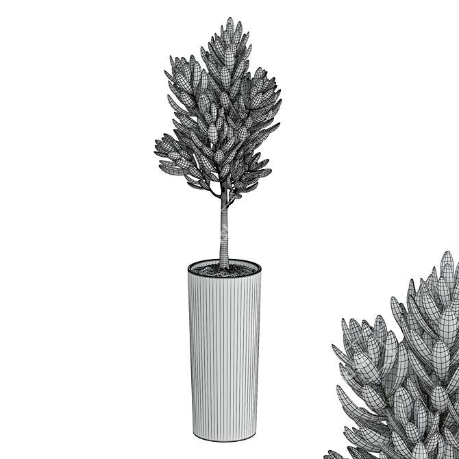 Dark Ceramic Pot Plant 3D model image 5