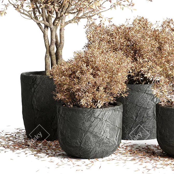 Autumn Vibes: 64 Stone Pots & Dry Tree Indoor/Outdoor Plant Collection 3D model image 3