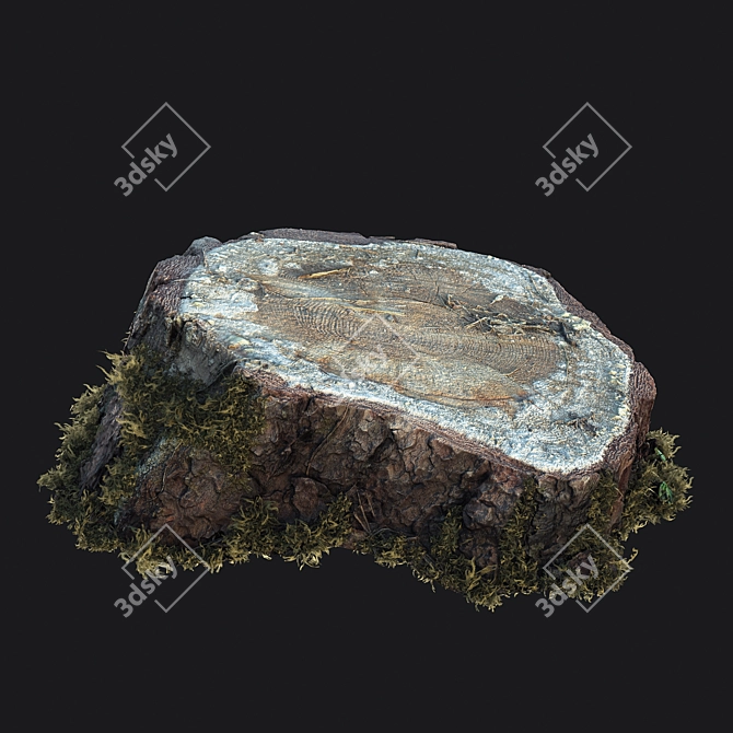 Mossy Photogrammetry Stump 3D model image 1