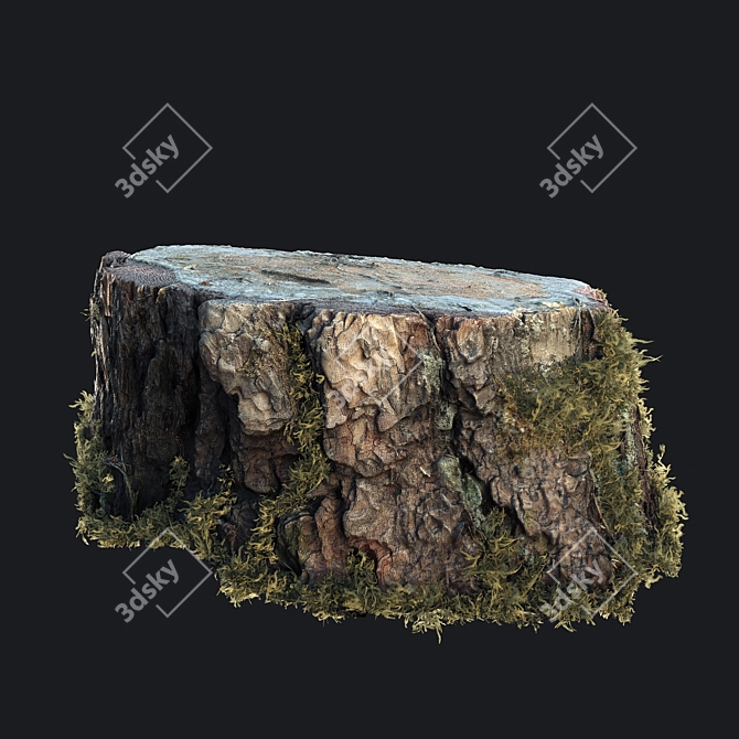 Mossy Photogrammetry Stump 3D model image 2