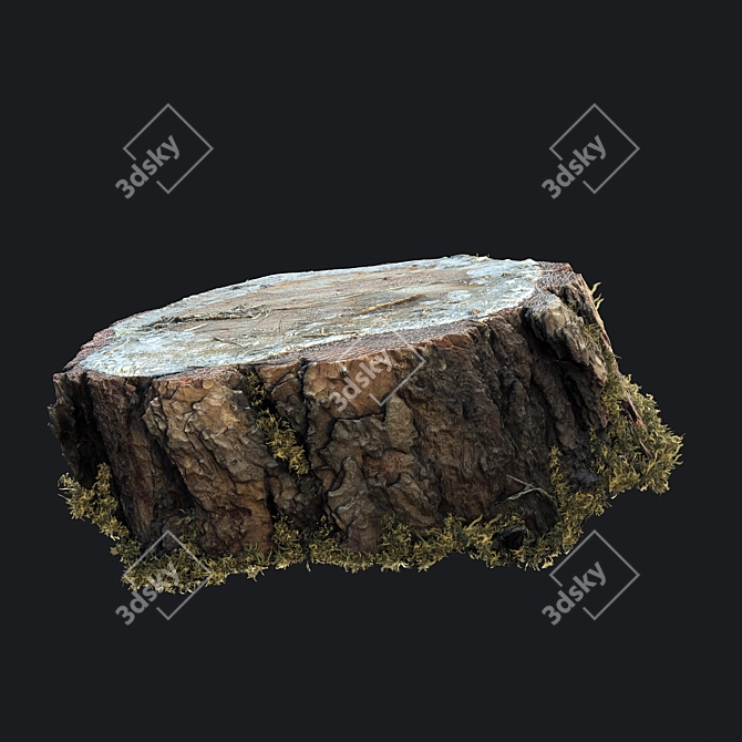 Mossy Photogrammetry Stump 3D model image 3