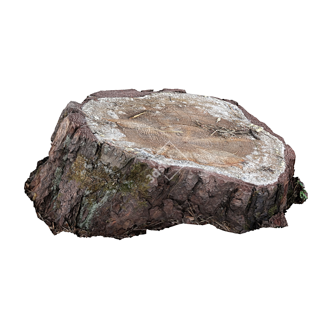 Mossy Photogrammetry Stump 3D model image 8