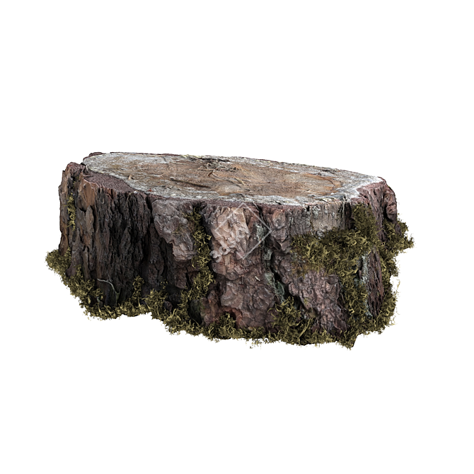 Mossy Photogrammetry Stump 3D model image 9