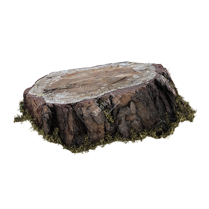 Mossy Photogrammetry Stump 3D model image 10