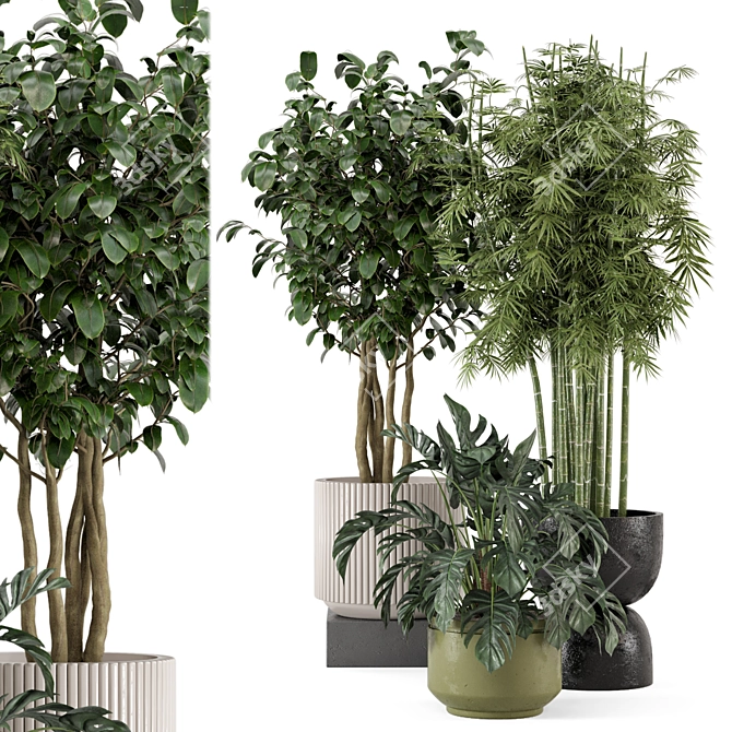 Rusty Concrete Pot Indoor Plant Set 3D model image 1