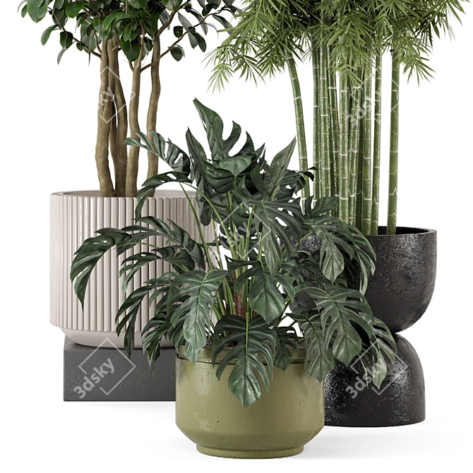 Rusty Concrete Pot Indoor Plant Set 3D model image 3