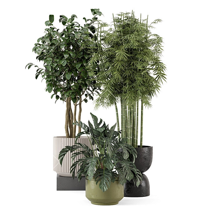 Rusty Concrete Pot Indoor Plant Set 3D model image 6