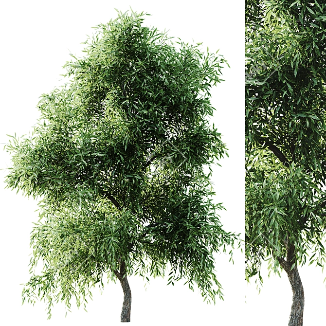 Versatile 2015 Tree Set 3D model image 1