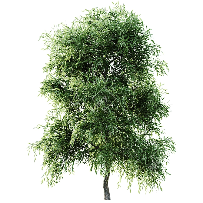 Versatile 2015 Tree Set 3D model image 3