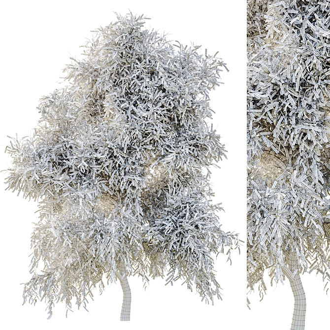 Versatile 2015 Tree Set 3D model image 5