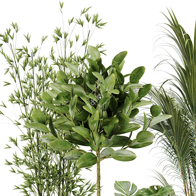 Tropical Paradise: Indoor Plant Set 3D model image 3
