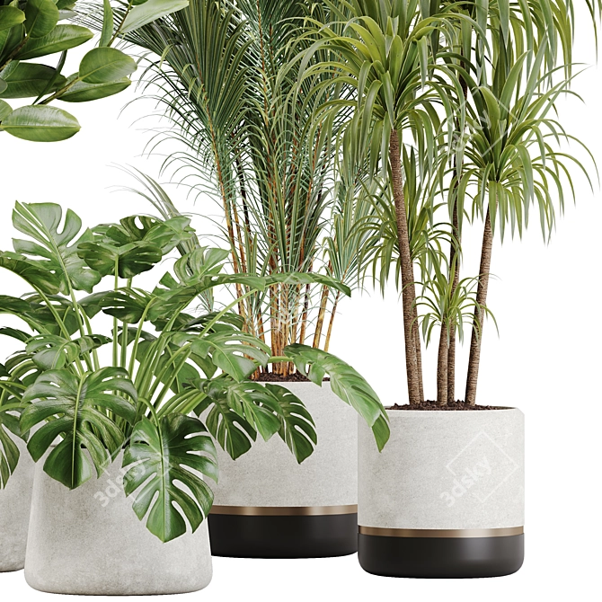 Tropical Paradise: Indoor Plant Set 3D model image 4