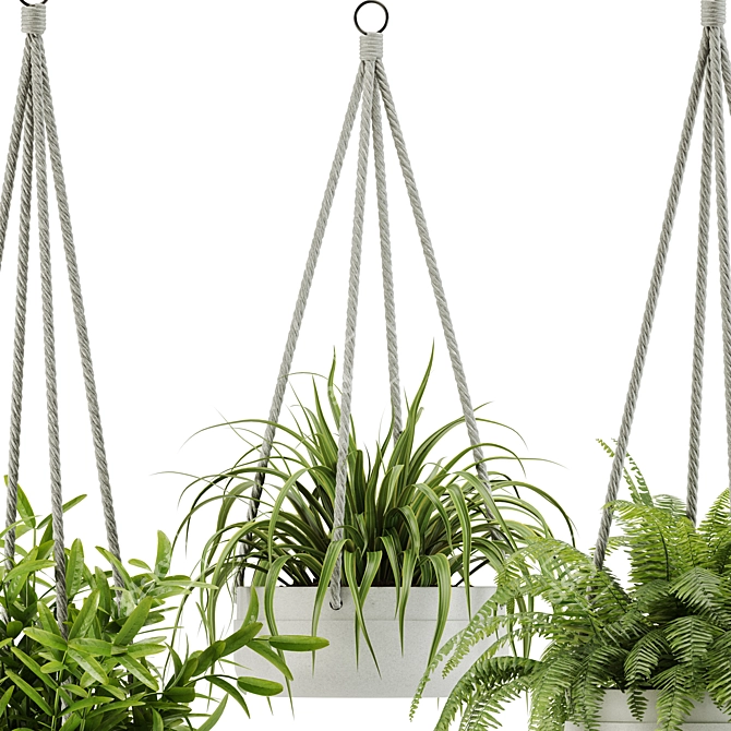 28-Plant Indoor Set: Green Up Your Space 3D model image 4