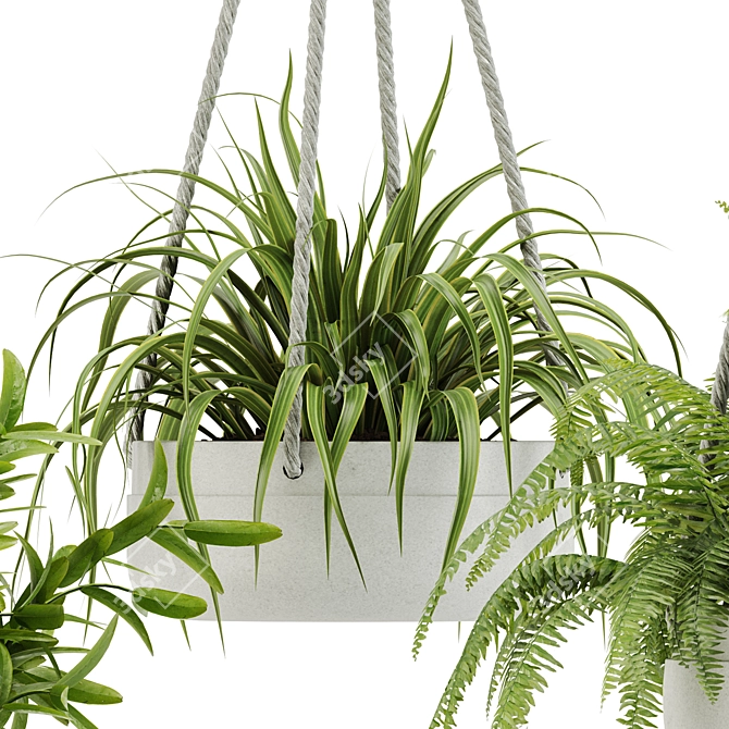 28-Plant Indoor Set: Green Up Your Space 3D model image 5