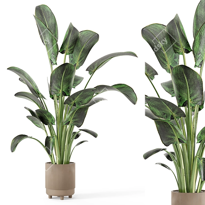 Rustic Concrete Pot Set with Indoor Plants 3D model image 1