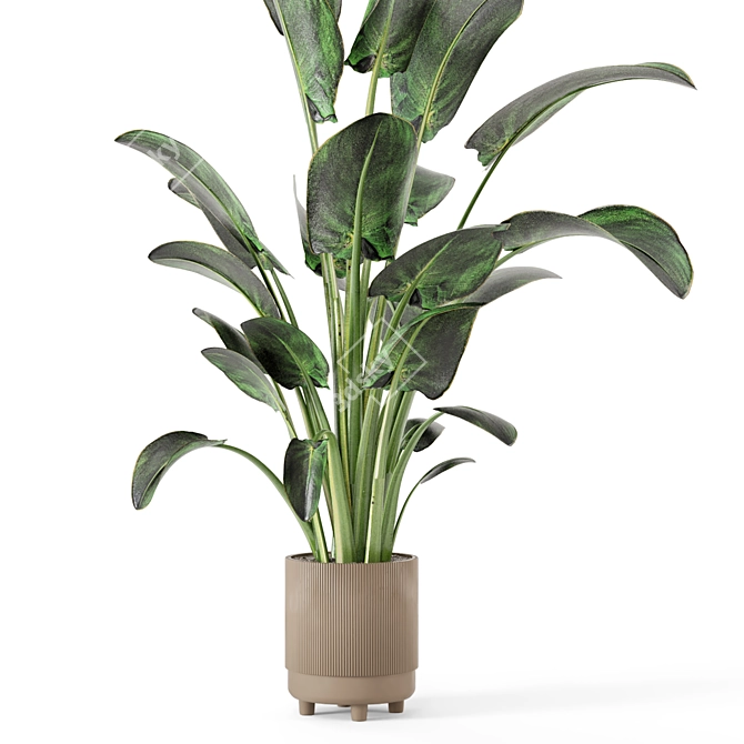 Rustic Concrete Pot Set with Indoor Plants 3D model image 3