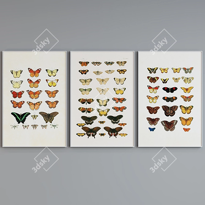 Butterfly Frame Set 508 - Set of 3 Modern Style Picture Frames with Illustrations 3D model image 2