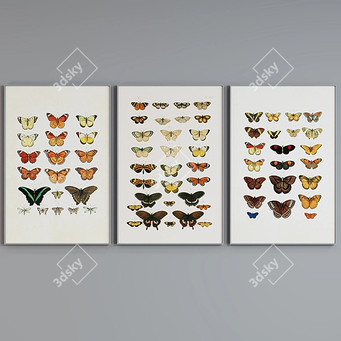 Butterfly Frame Set 508 - Set of 3 Modern Style Picture Frames with Illustrations 3D model image 3