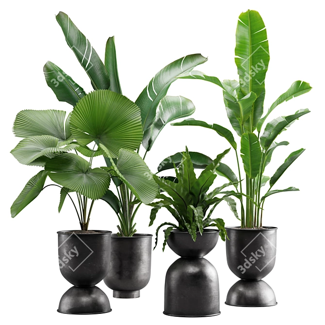 Tropical Indoor Plants Pack 3D model image 1