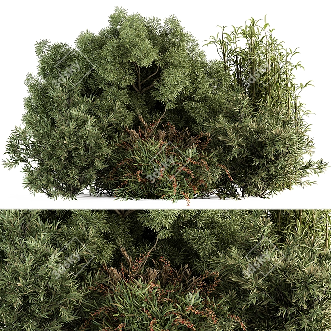 Gorgeous Mixed Plant Bush Set 3D model image 1