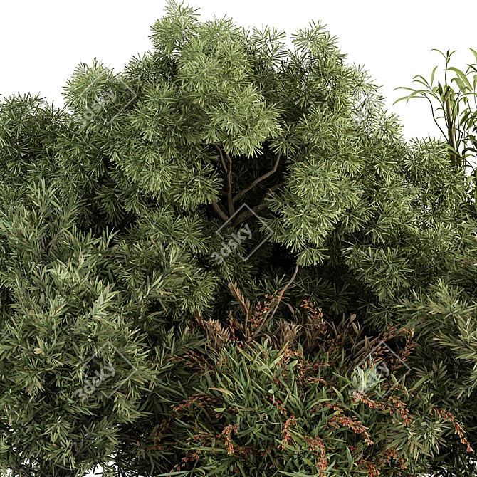 Gorgeous Mixed Plant Bush Set 3D model image 2