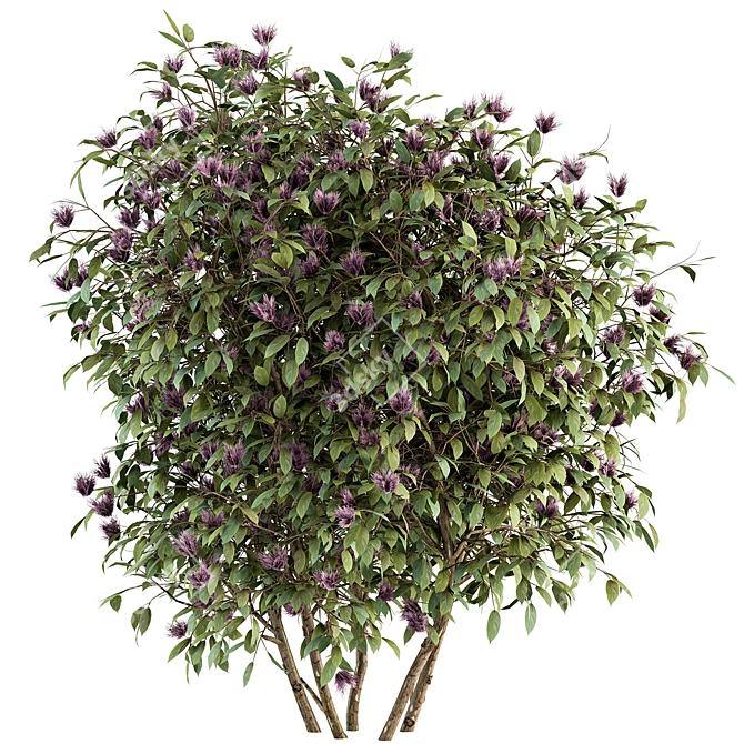 Spring Blossom Bush - Green/Purple 3D model image 2