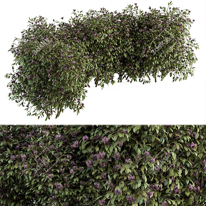 Spring Blossom Bush - Green/Purple 3D model image 3