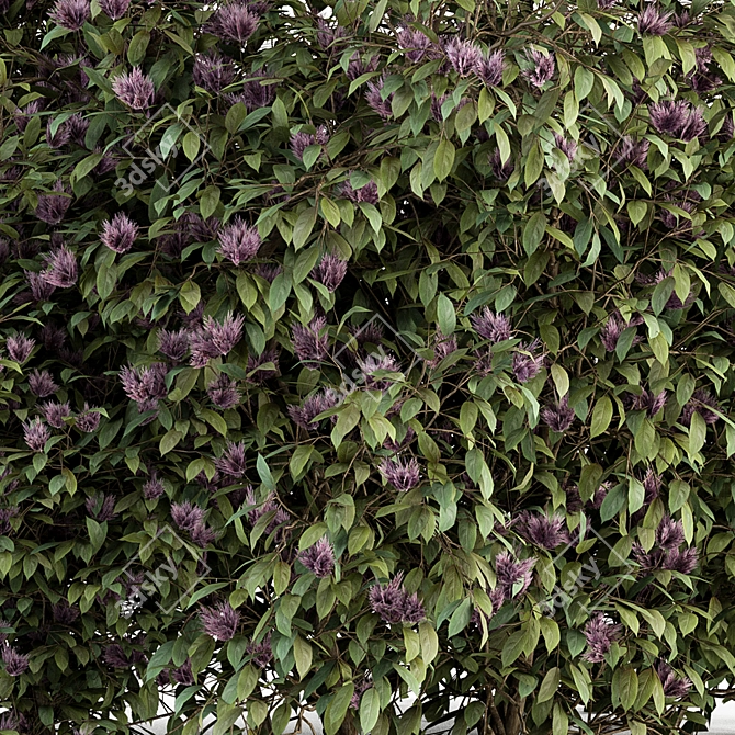 Spring Blossom Bush - Green/Purple 3D model image 4