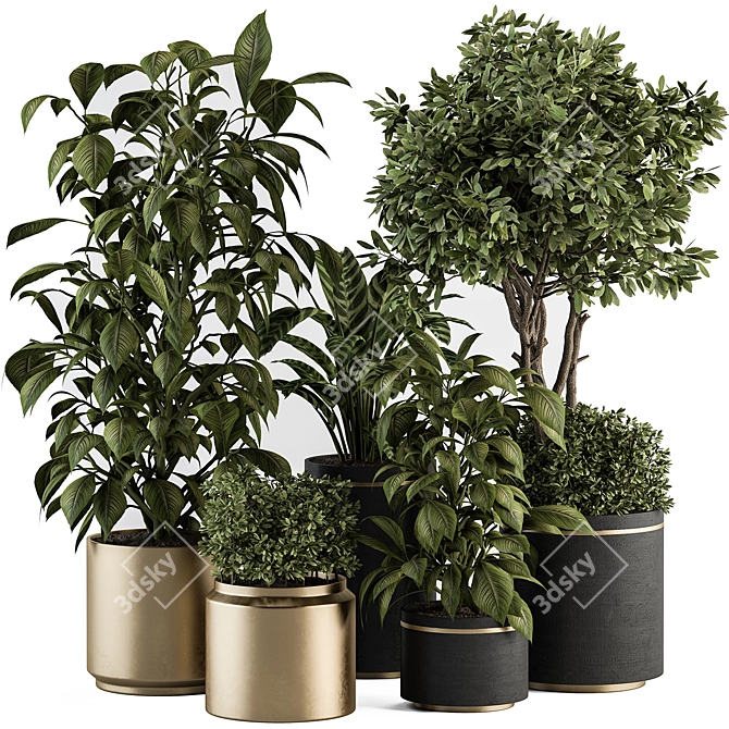 Indoor Oasis: Tree and Plant Set 3D model image 1