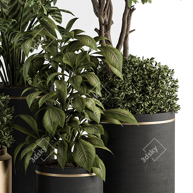 Indoor Oasis: Tree and Plant Set 3D model image 2