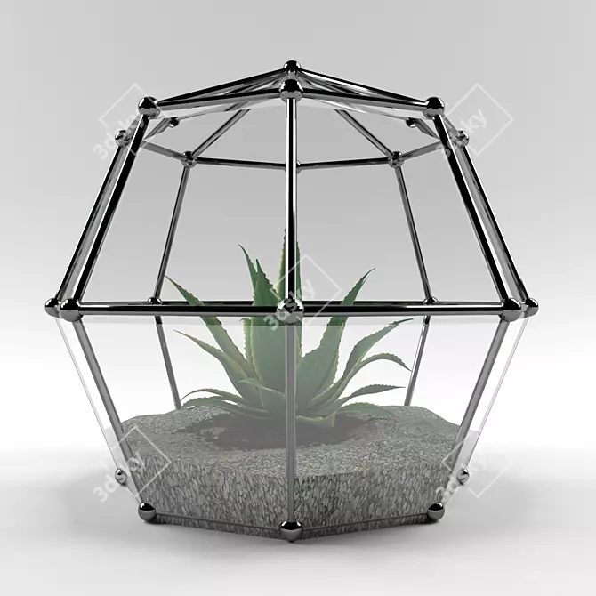 Modern Florarium Decoration 3D model image 1