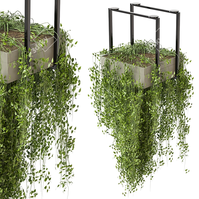 Metal Box Hanging Plants 3D model image 1