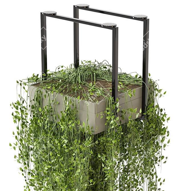 Metal Box Hanging Plants 3D model image 2