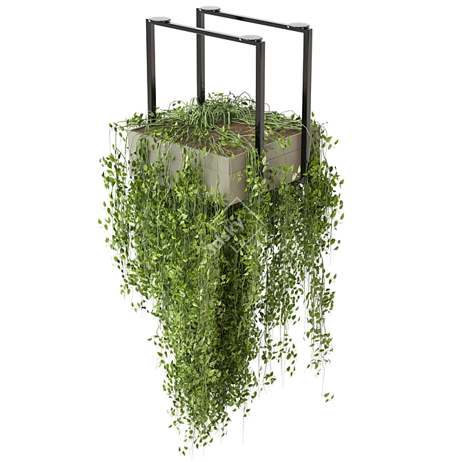 Metal Box Hanging Plants 3D model image 3