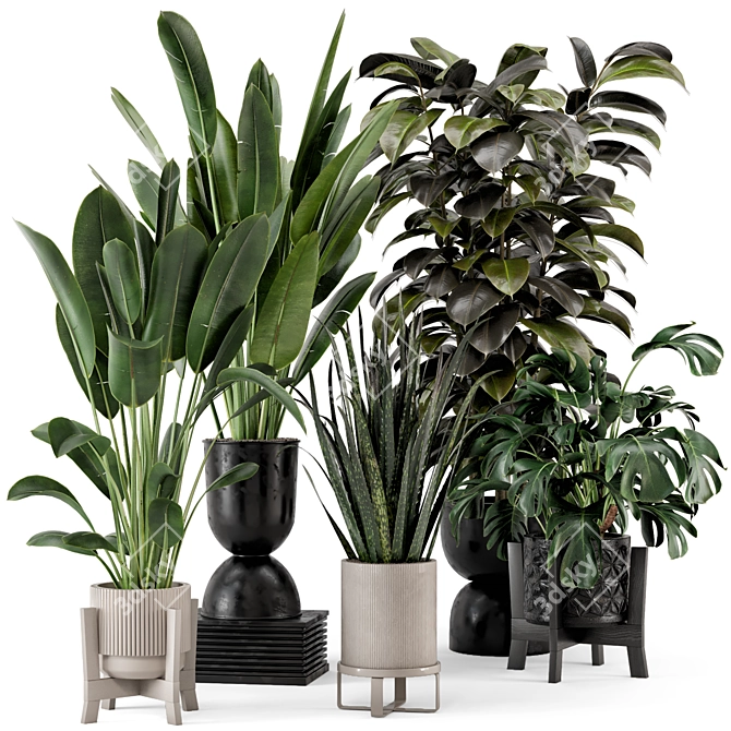 Indoor Plant Set: Ferm Living Bau Pot 3D model image 1