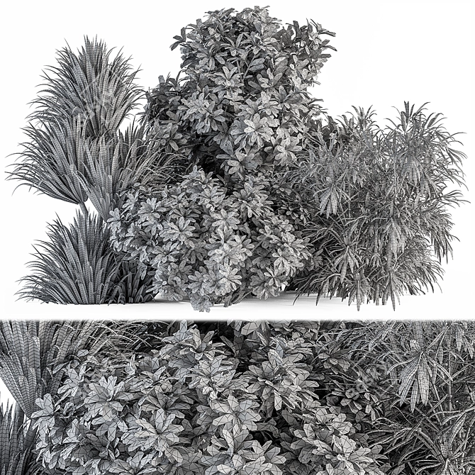 Tropical Box Tree Bush Set 3D model image 4