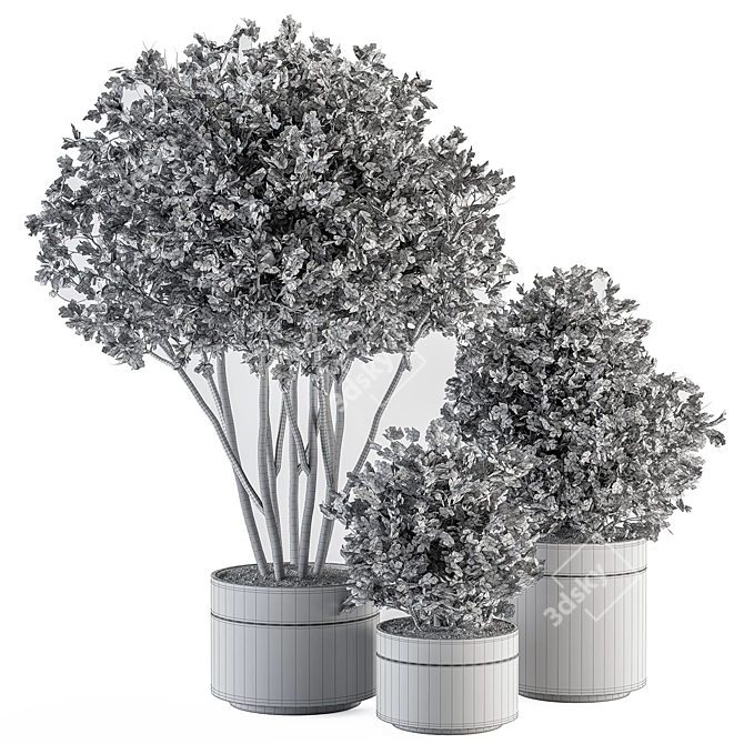 indoor Plant Set 375- Tree and Plant Set in pot 3D model image 4