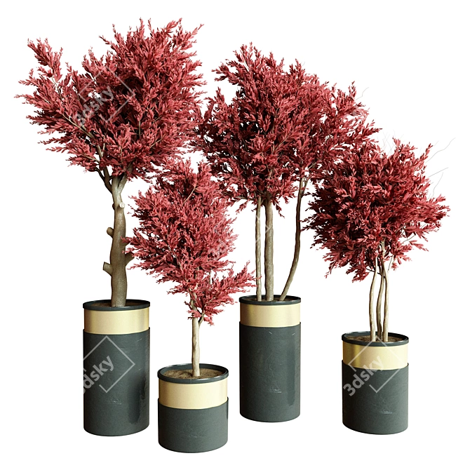 Modern Indoor Plant Collection 2015 3D model image 1